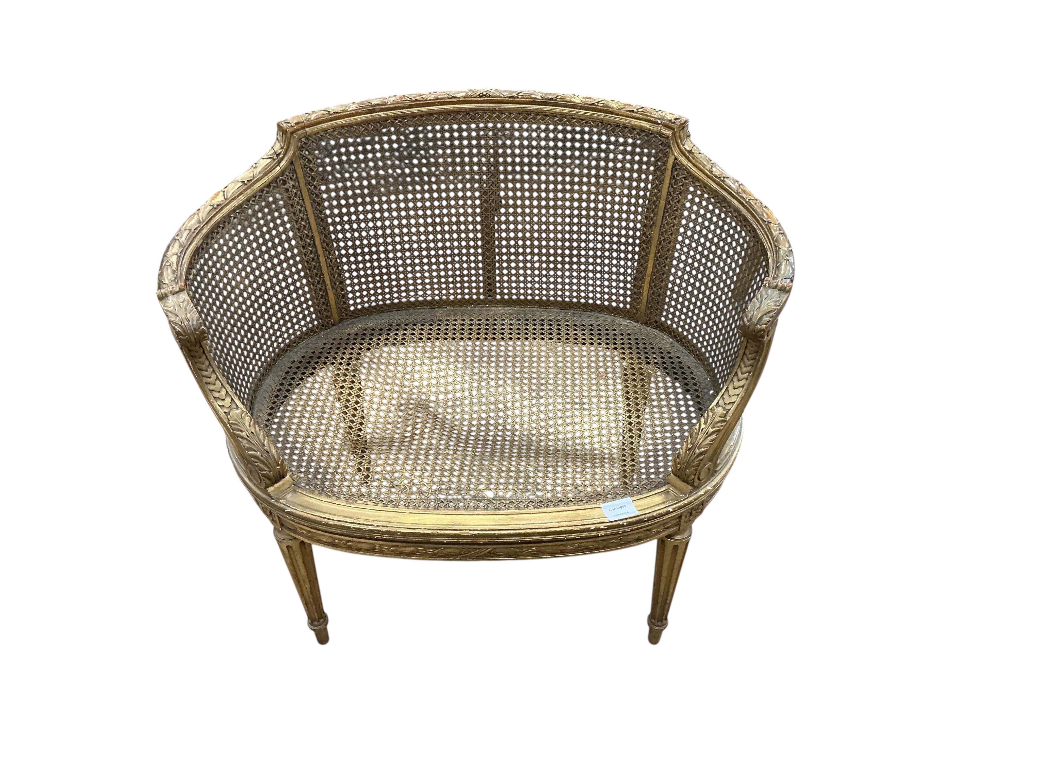 A late 19th century French caned giltwood tub chair, width 77cm, depth 50cm, height 71cm